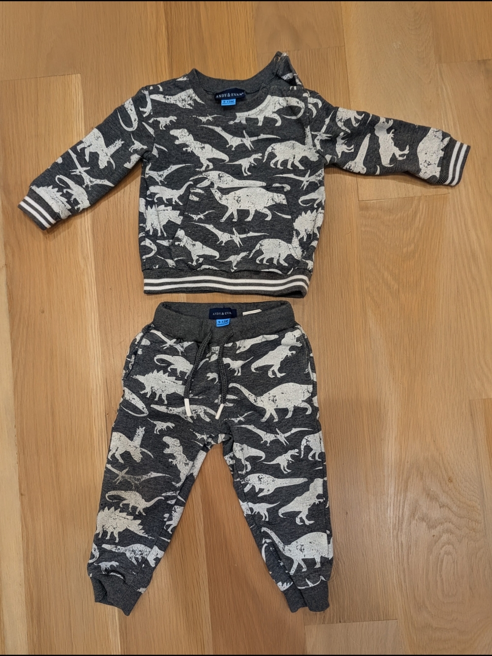 Andy & Evan Gray and White Dinosaur Sweatshirt & Jogger Set